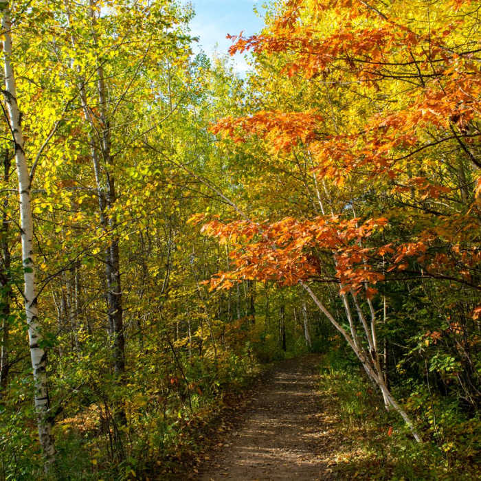 Near Ely's Peak Hike Near Ely's Peak Hike