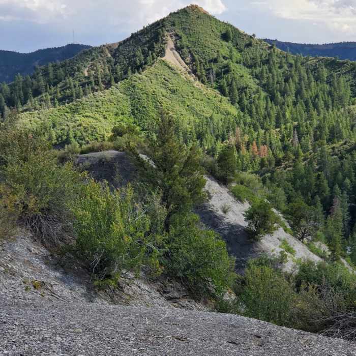 Near Upper Grabens