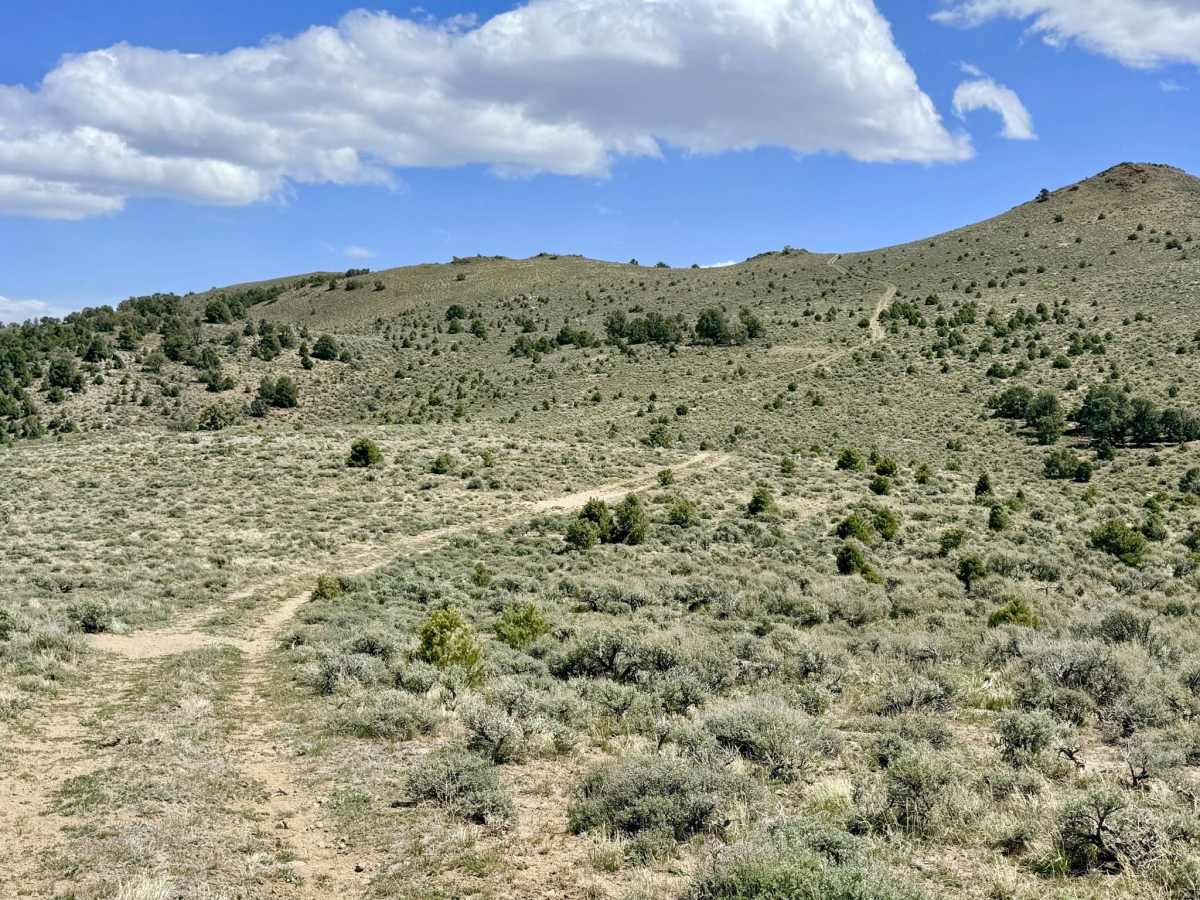 Blackbird Spring Loop - FS 43250 trail photo