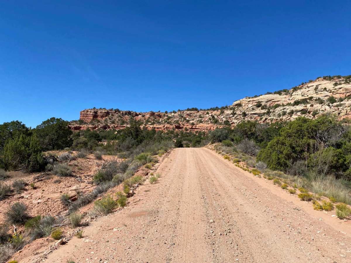 South Elks Road photo 3