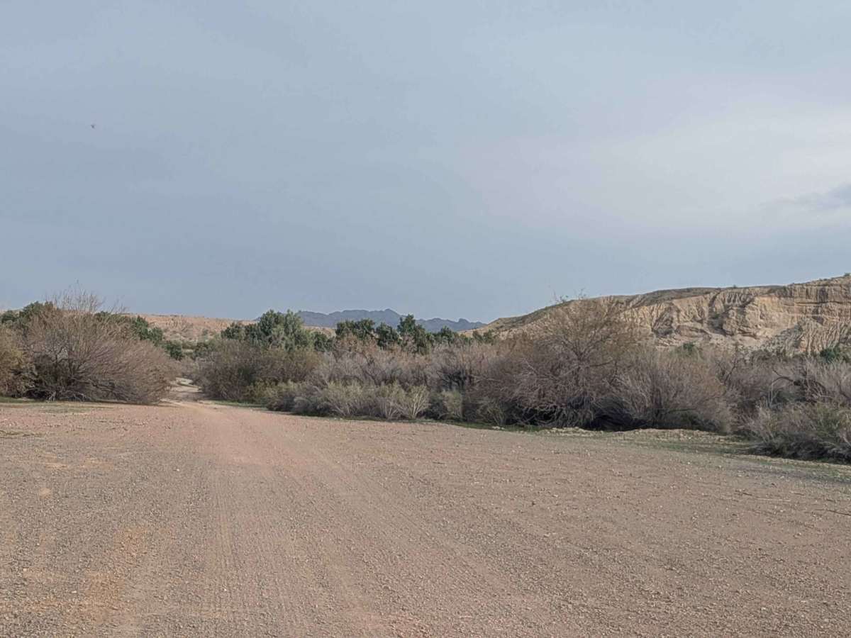 Trigo Wash EC1209 photo 6