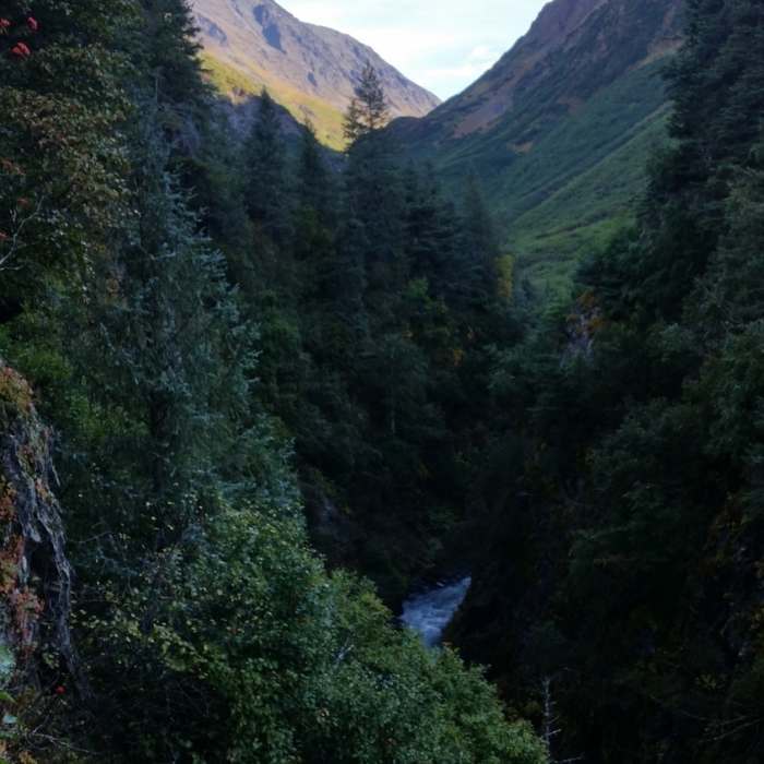 Victor Creek Canyon Near Victor Creek Trail