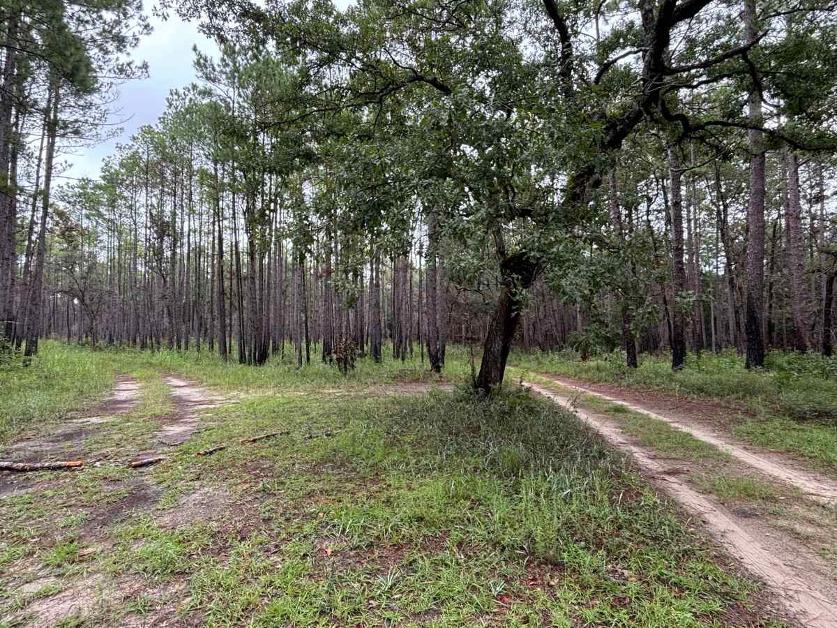 Road 5021 photo 3