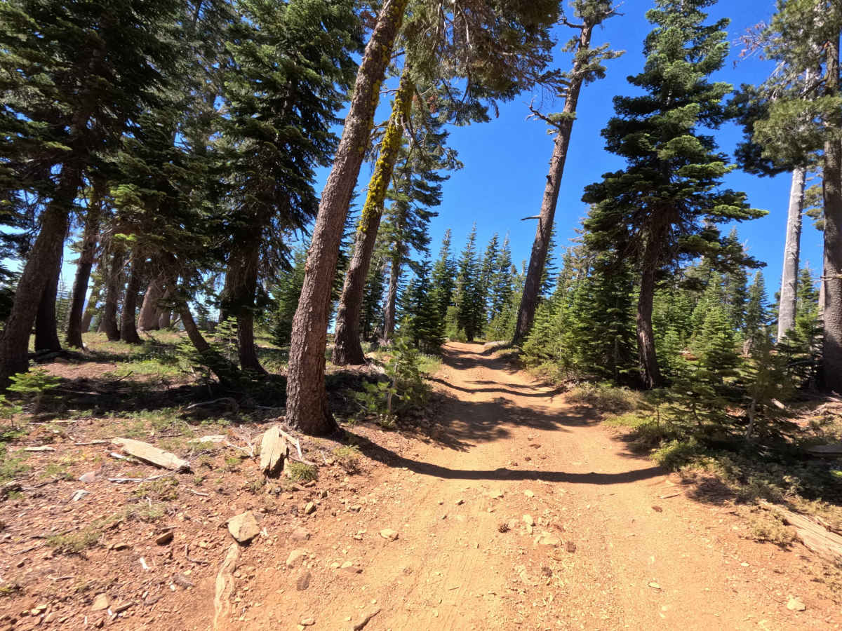 Lots A Lakes OHV Trail - FS 12E66 photo 6