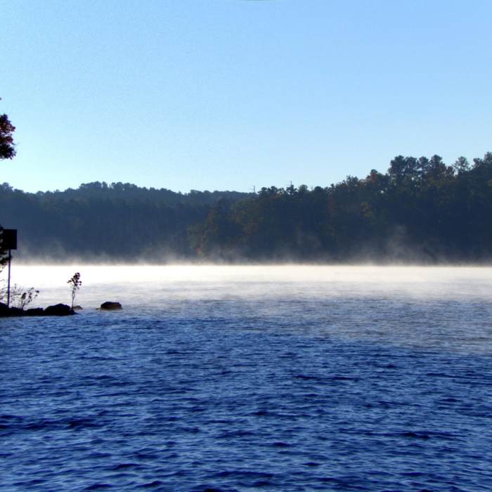 Near Laurel Ridge Trail