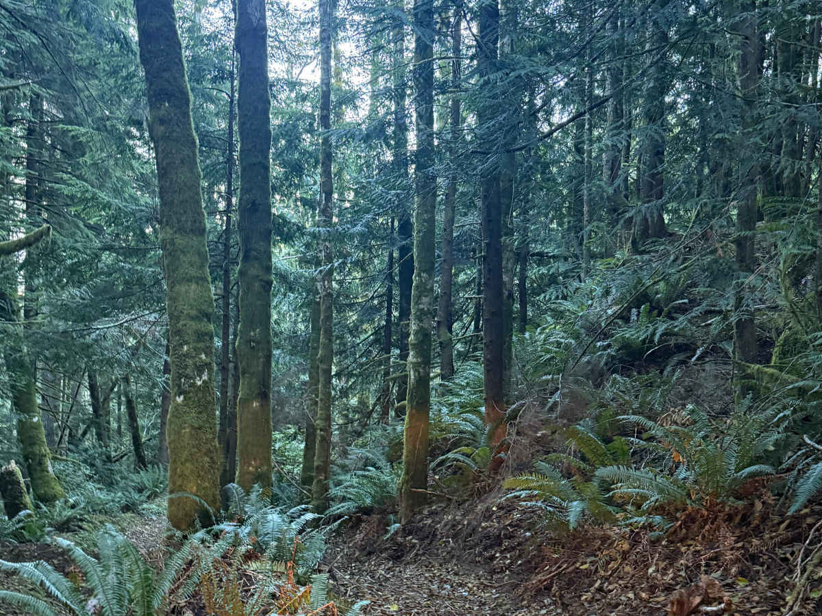 The switchbacks photo 4