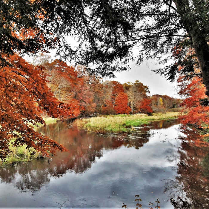 Pigeon River in Fall" by Mike Lozon. Photo courtesy of Ottawa County Parks & Recreation. Near Hemlock Loop