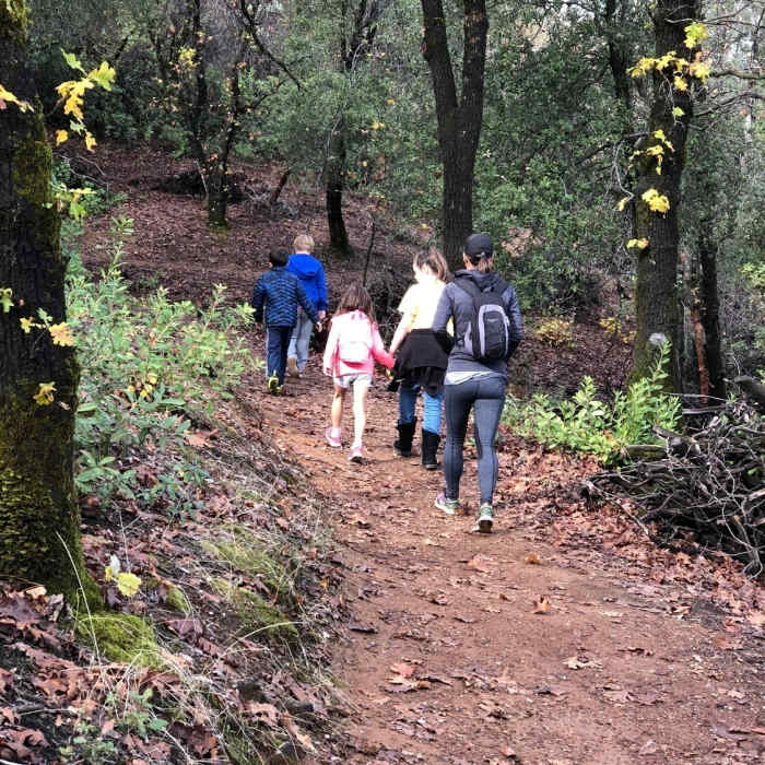 Near Flanagan Trail to Chamise Peak