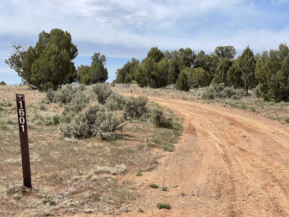 Mustang Knoll photo 2