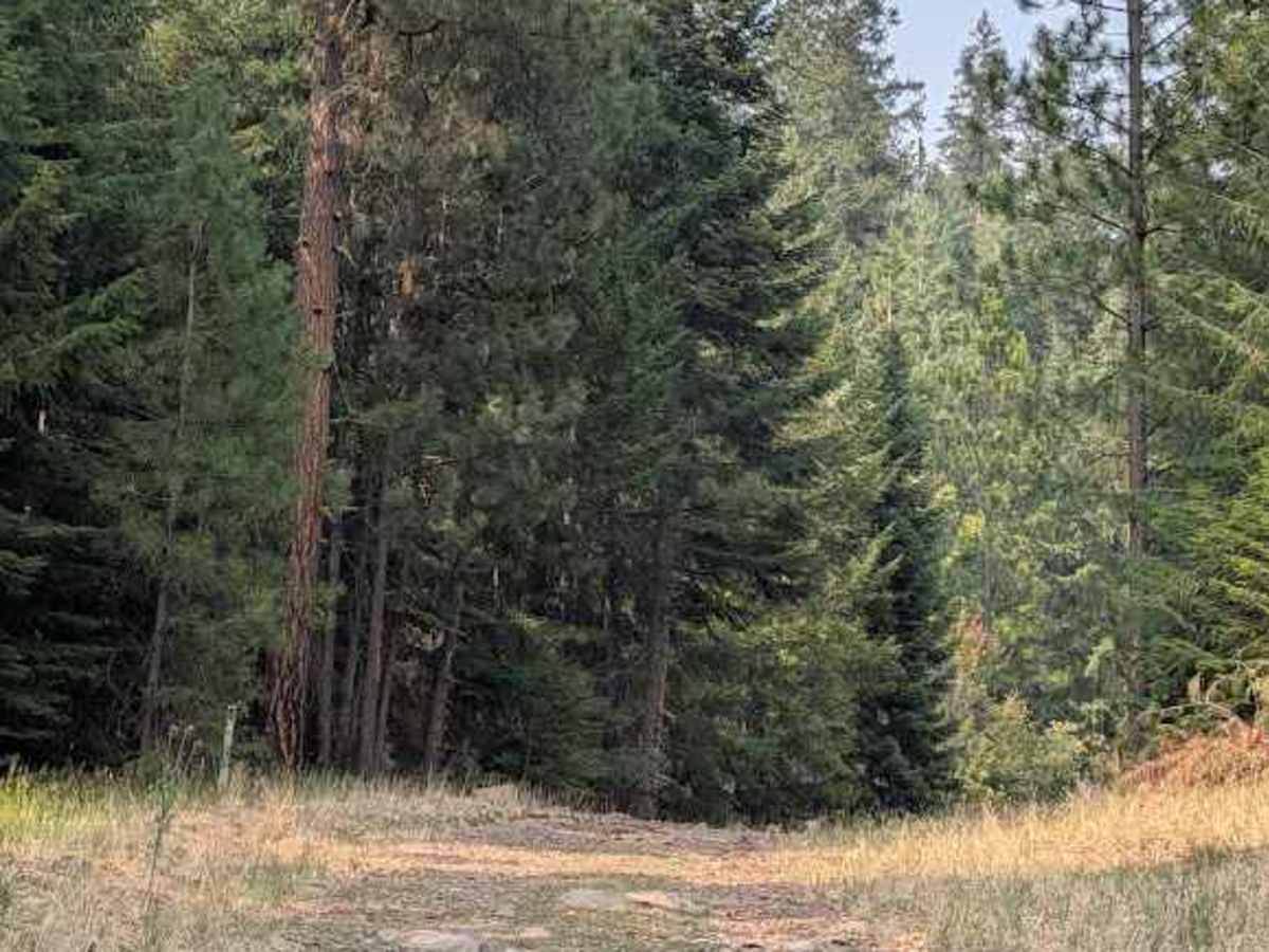 High Creek Road photo 6