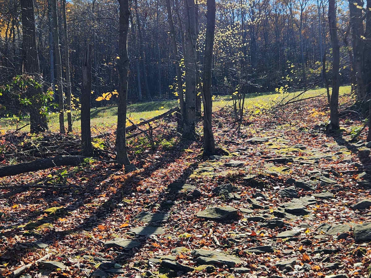 OHV 1 - Rock Run Recreation Area photo 3
