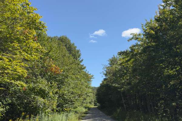 Branch Pond Trail