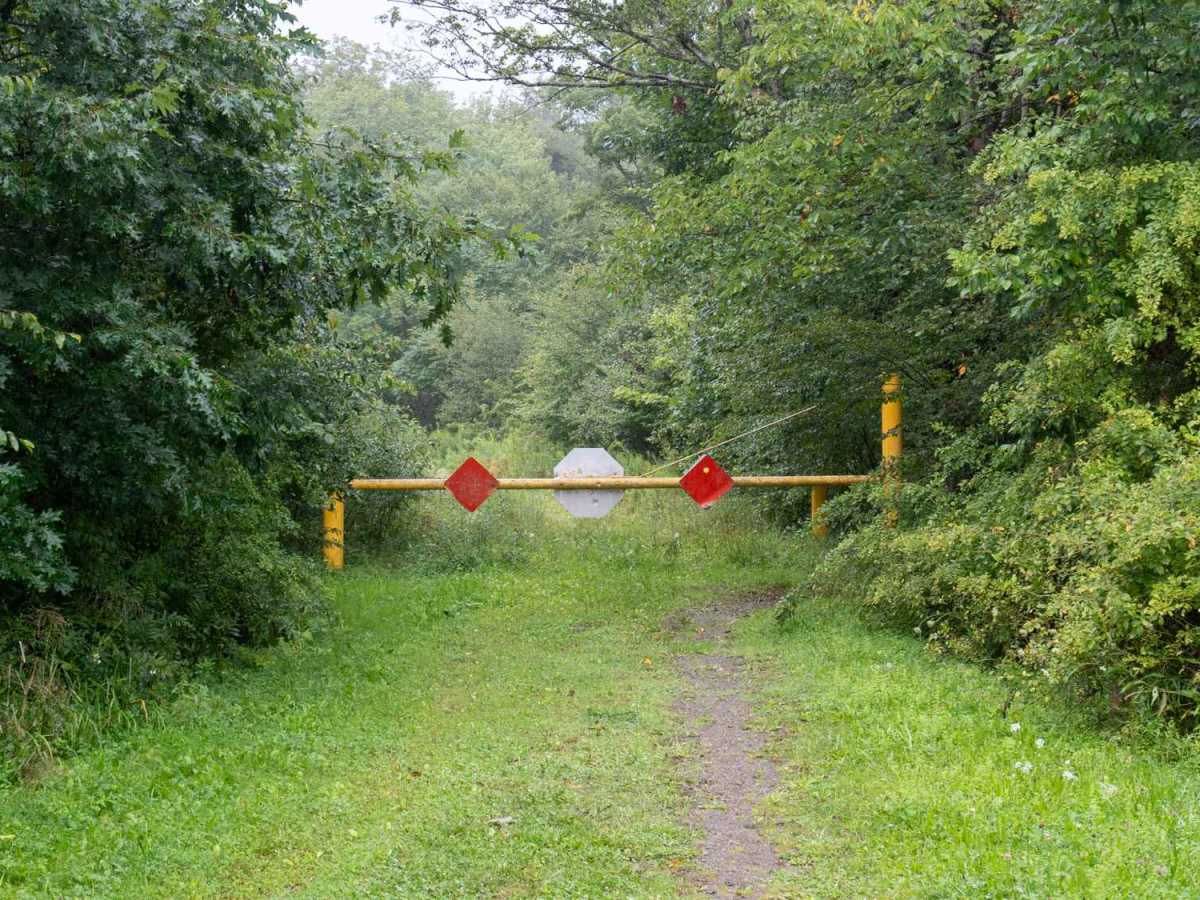 Eagle Forest Road photo 5