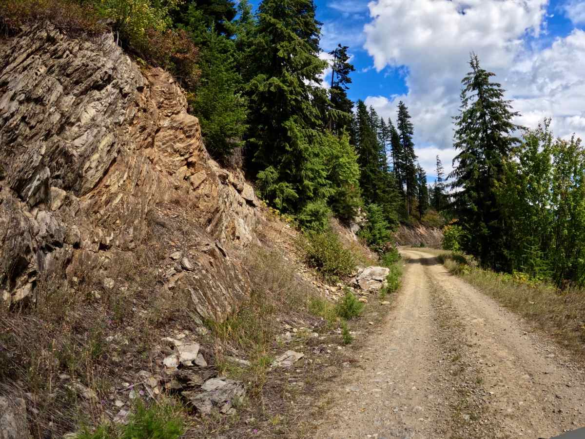 Newman Ridge Road (1185) - Canyon Creek Road (3816) photo 6