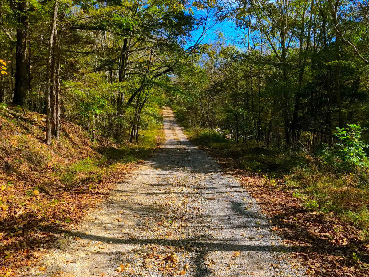 Ferguson Spring - FS 147 trail photo
