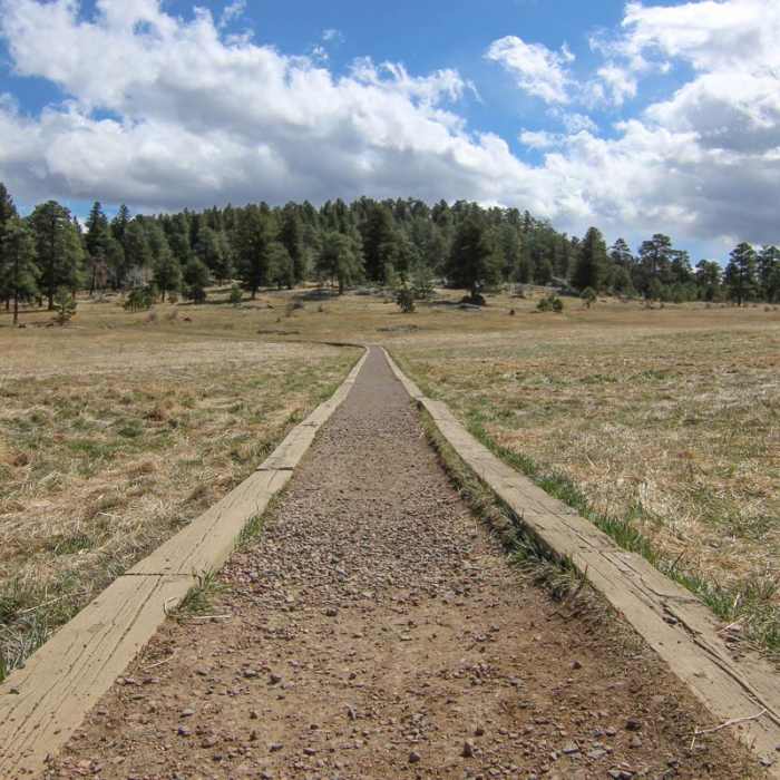 Near Alderfer/Three Sisters Park Loop