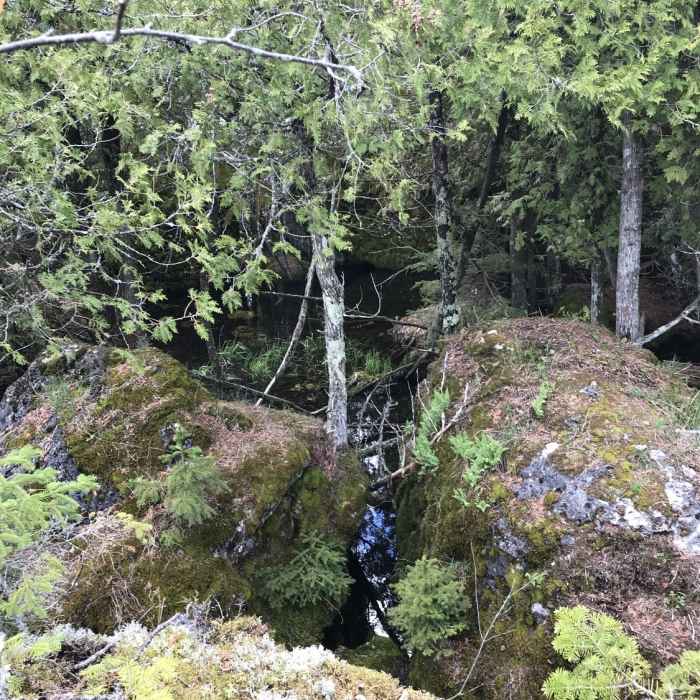 Near Bush Bay Hiking Trail (Narnia Trail)