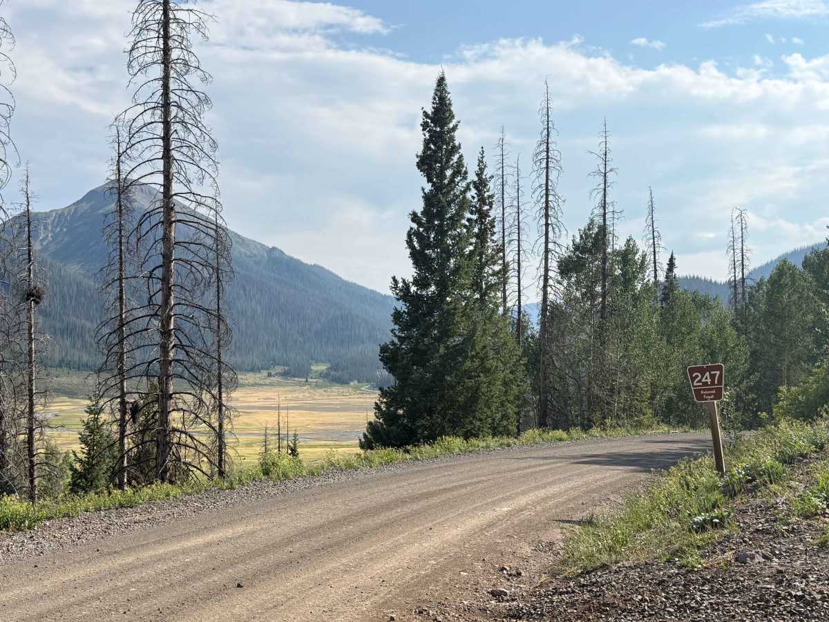 Three Forks Road - FS 247 photo 6