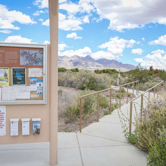 Near Jackrabbit Loop