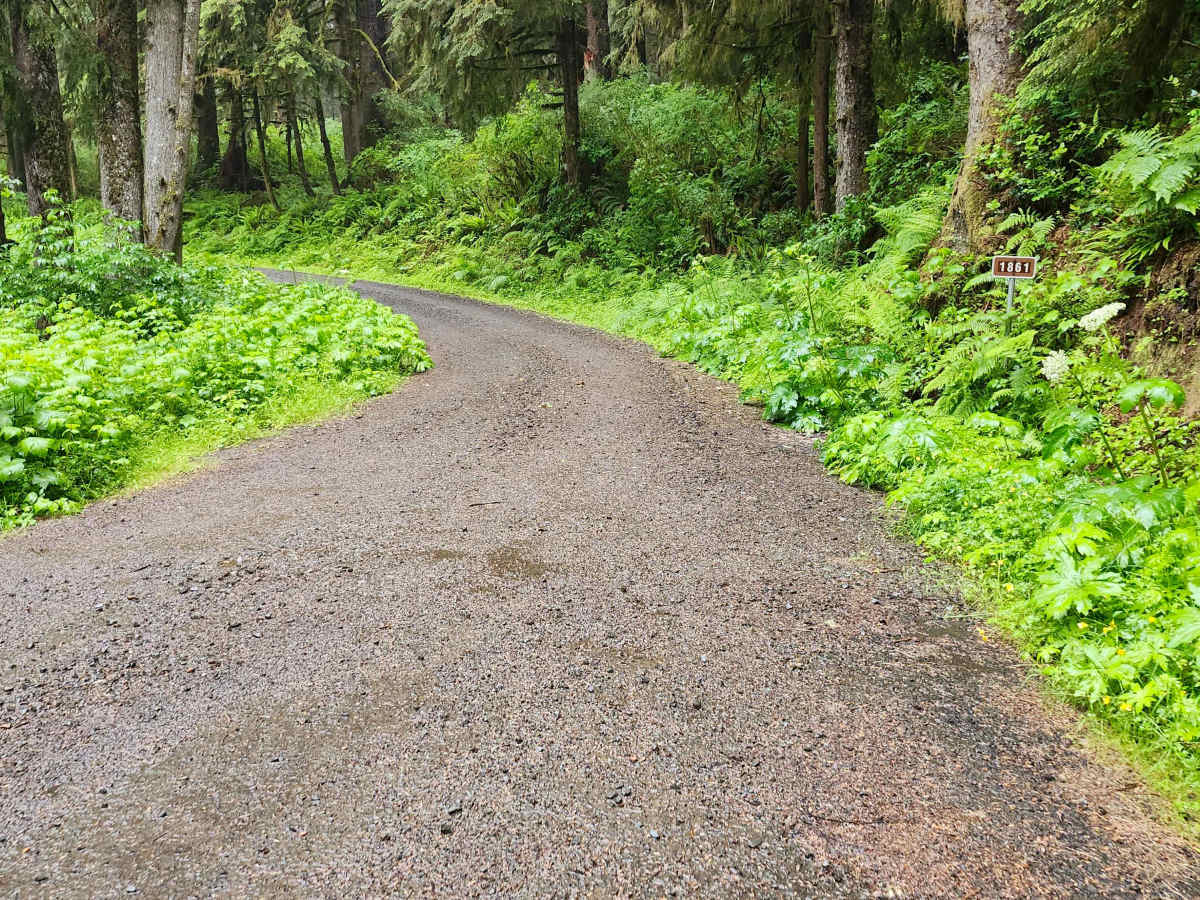 Cascade Head - FS 1861 photo 3