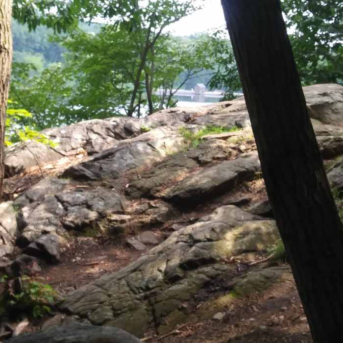 Lots of boulders to climb, with a few of the reservoir. Near Pyramid Mountain Loop