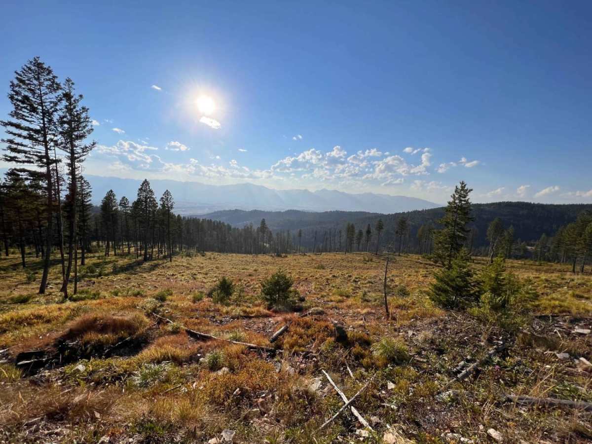 High Road trail photo
