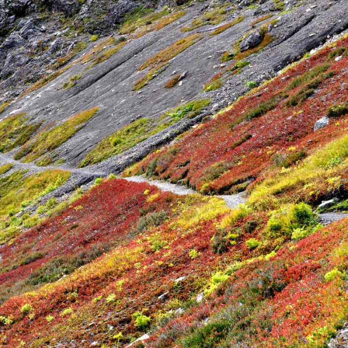 Near Winchester Mountain Hike