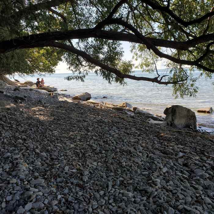 Shoreline. Near Lemoine Point Loop