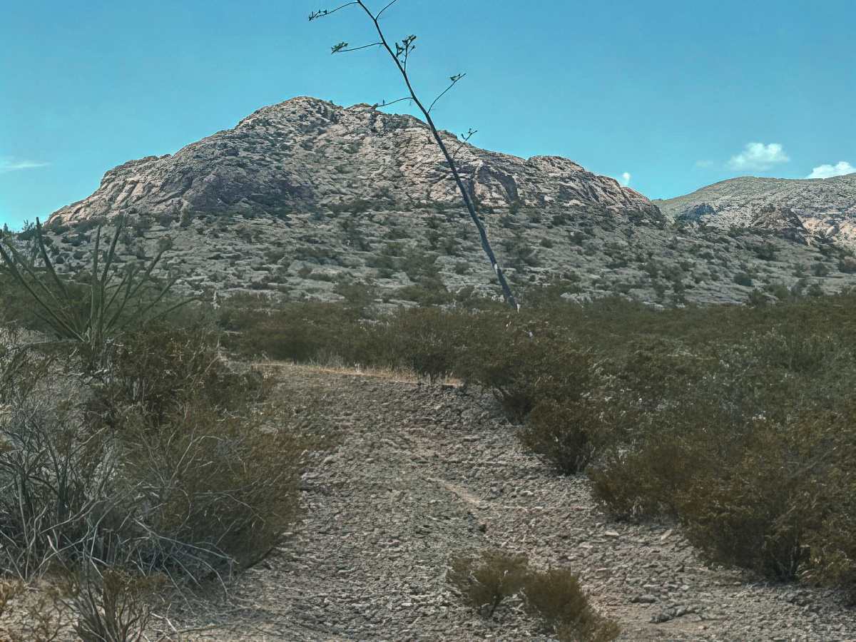 Ss1161 photo 3
