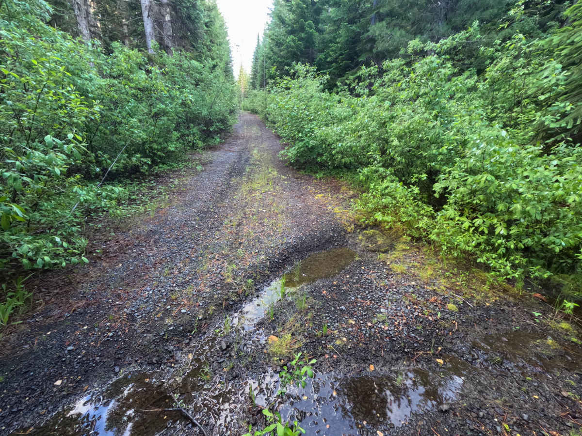FS 9091000D trail photo