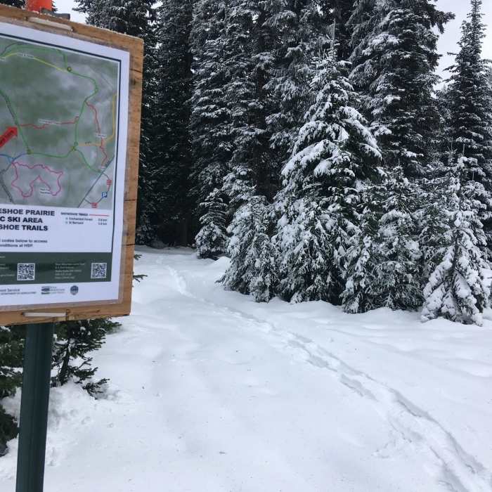 Near Enchanted Forest (Snow Trail)