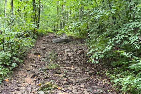 Little Buckhorn Waterfall Trail