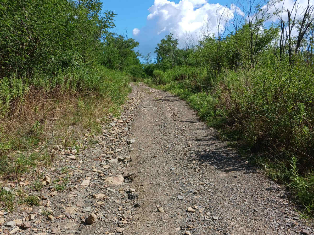 Hop Run - Rock Run Recreation Area photo 3