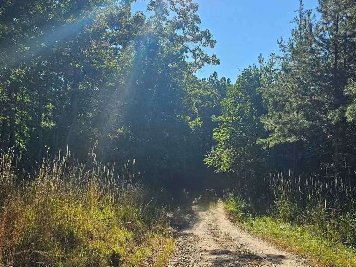 Beaver Swamp Trail photo 5