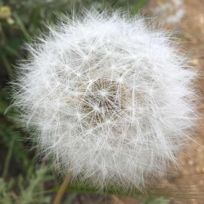 Near Five Mile Gulch