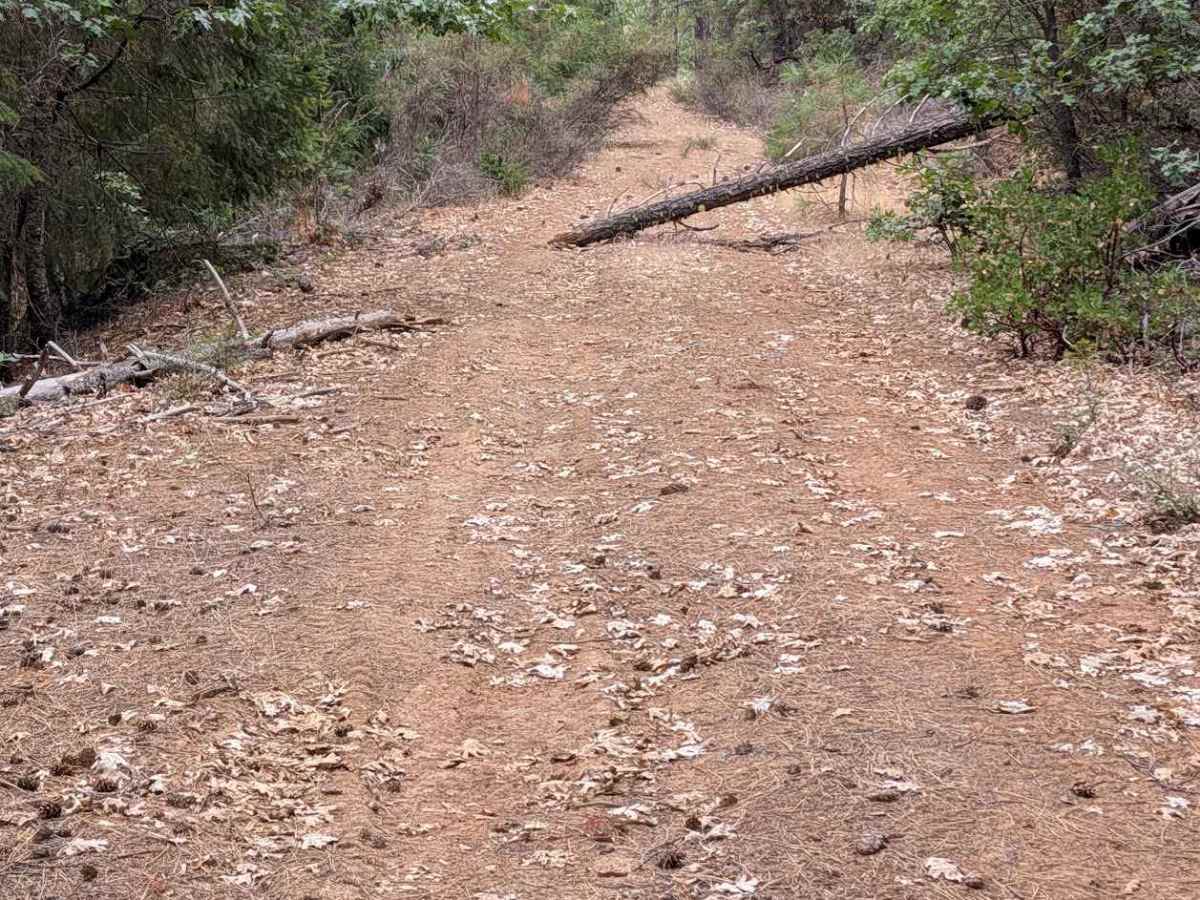 North Post Creek Road - FS 1N02 photo 6