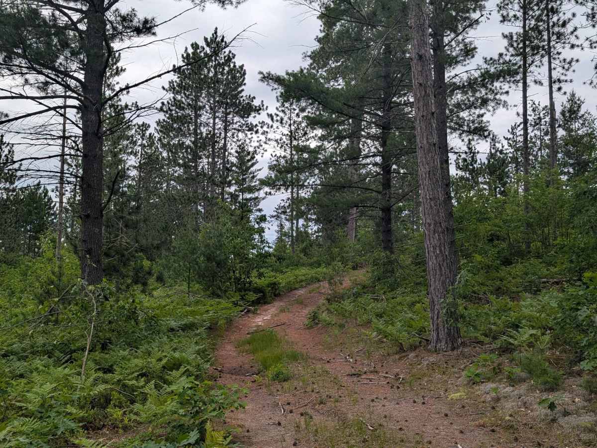Lindquist Hill Military Trail photo 5