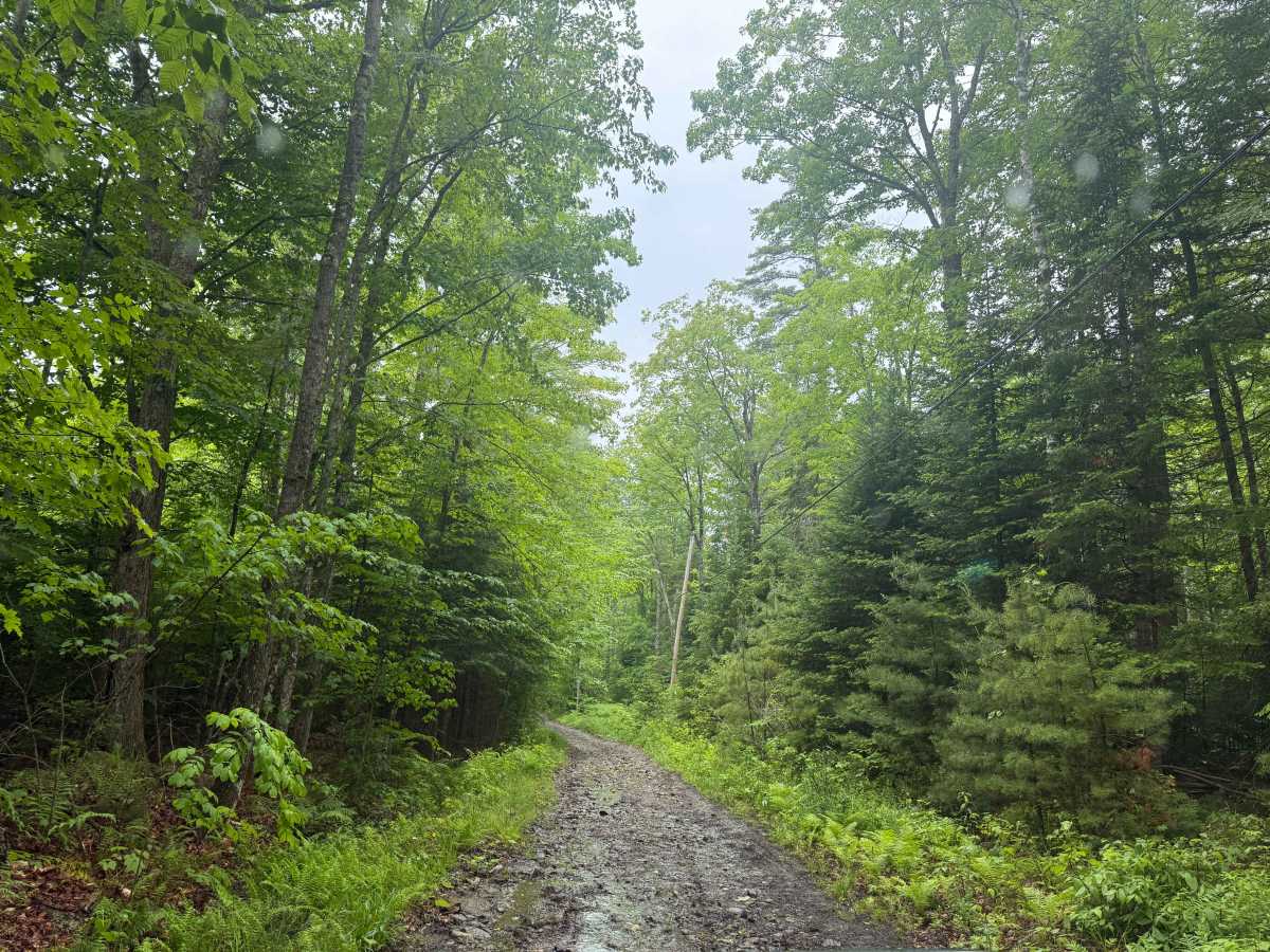 Ruger Estate Boundary photo 3