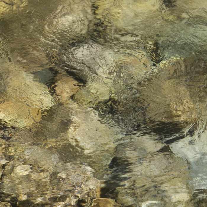 Near Redfish Lake Canyon