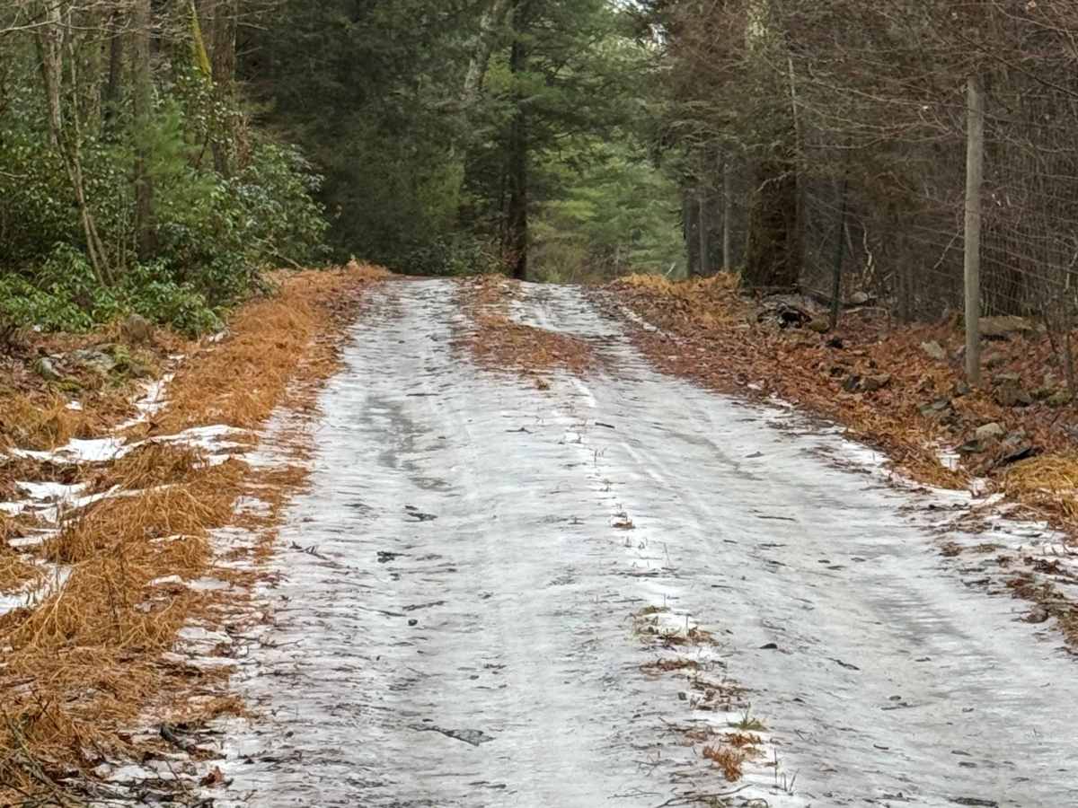 Pine Ridge Trail photo 4