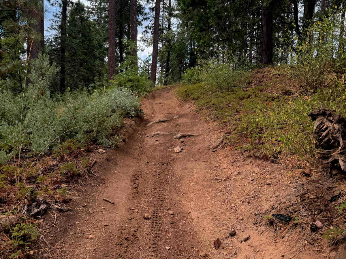 15EV26 trail photo