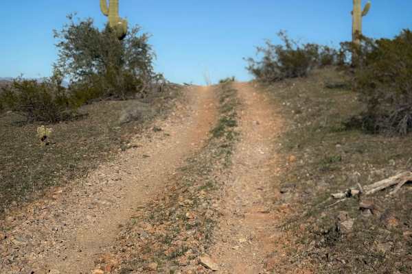 Creosote Run  