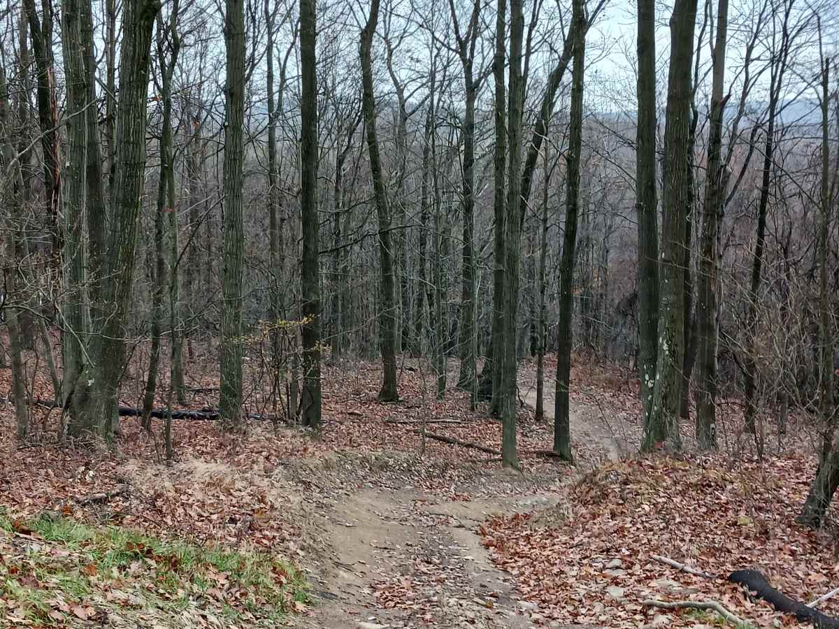 Outer Loop West - Rock Run Recreation Area photo 3