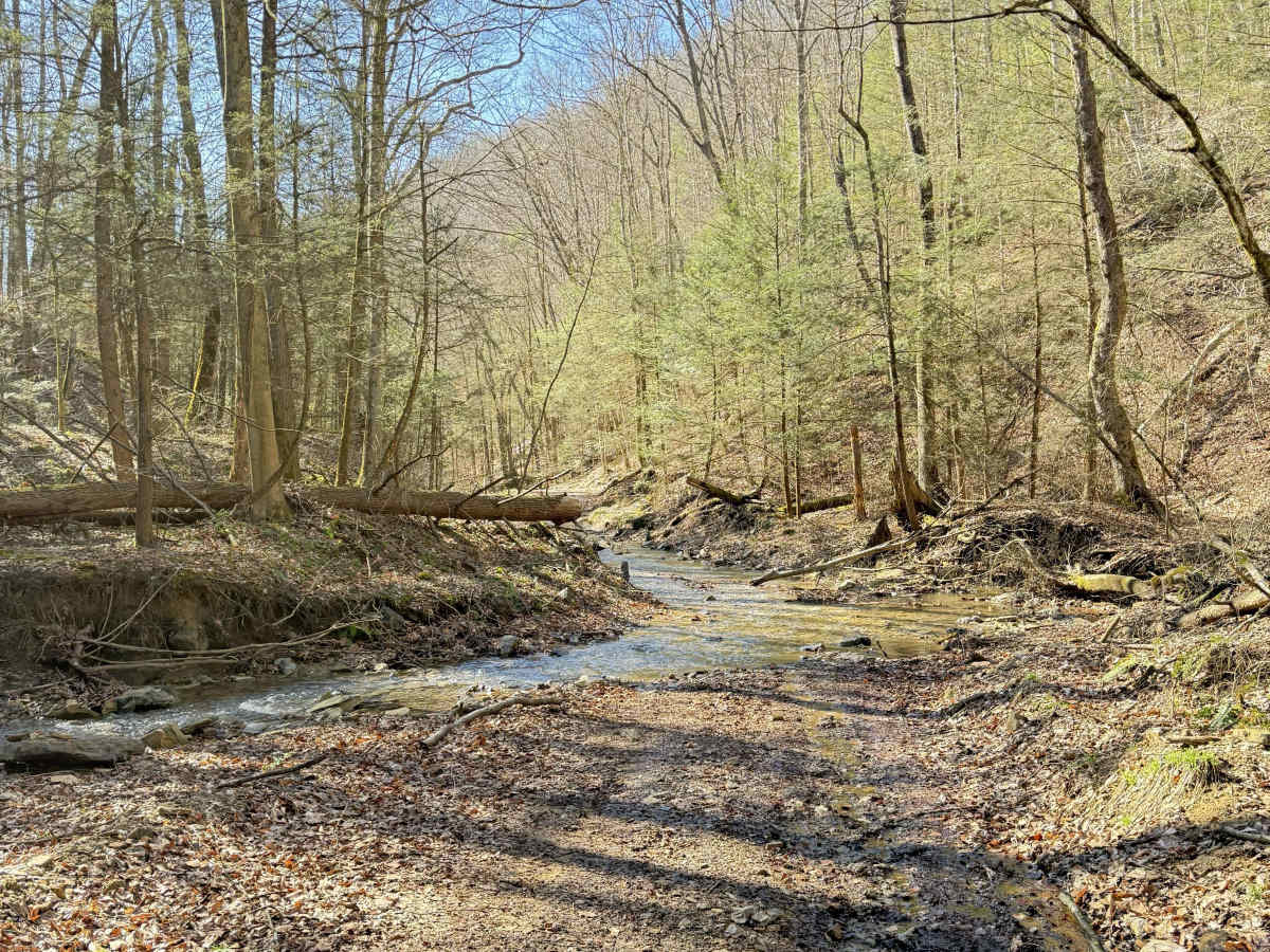 W3 trail photo