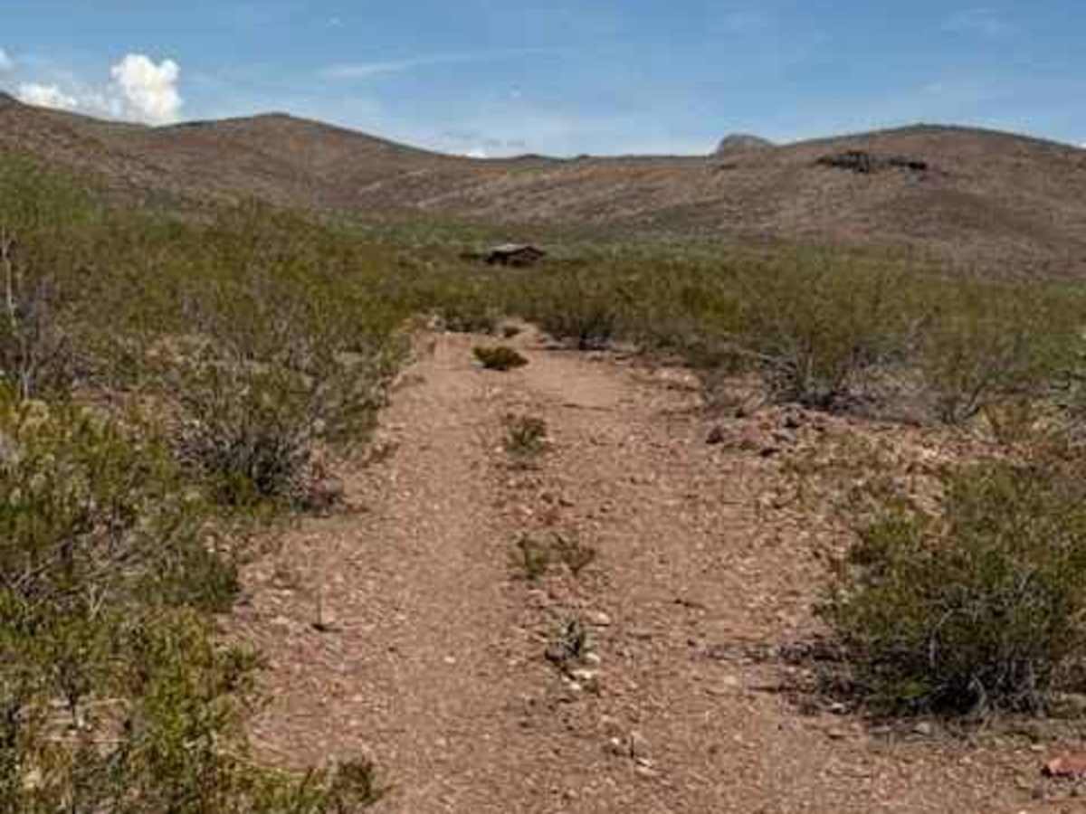 BLM PE1124 trail photo