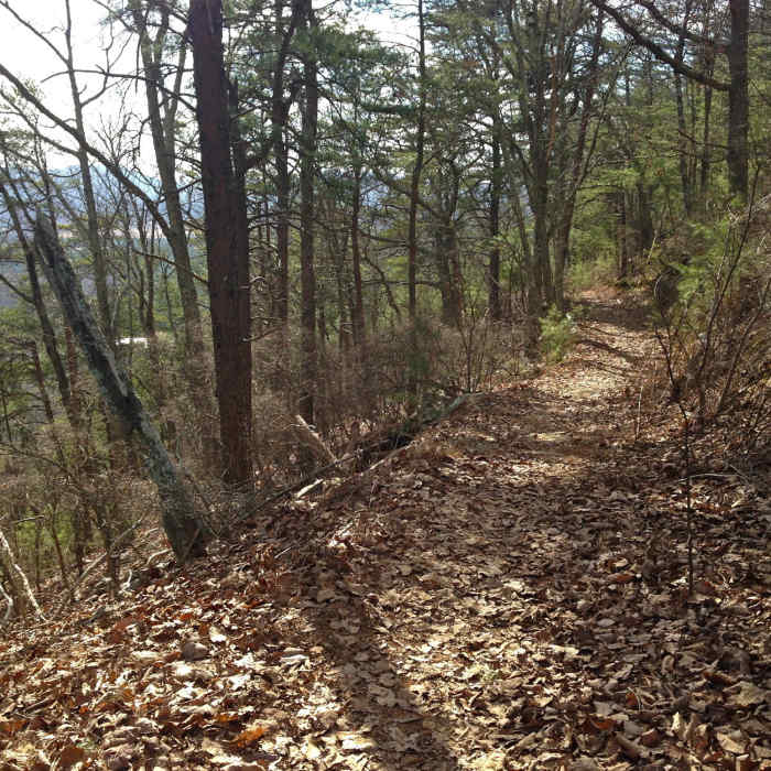 Looking back from the crest after the initial climb. Near Pinhoti Trail: Section 20