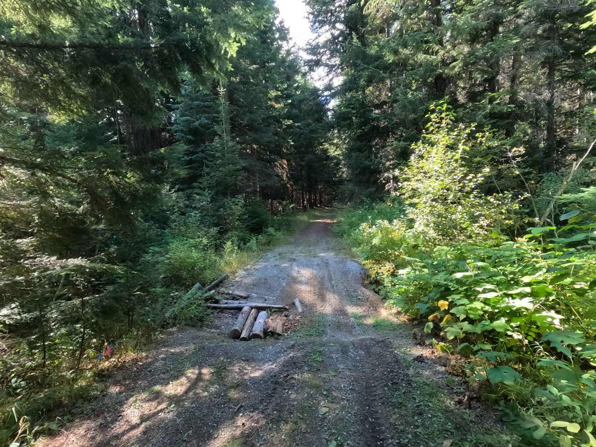 Upper West Branch Double Track - FS 1102 trail photo