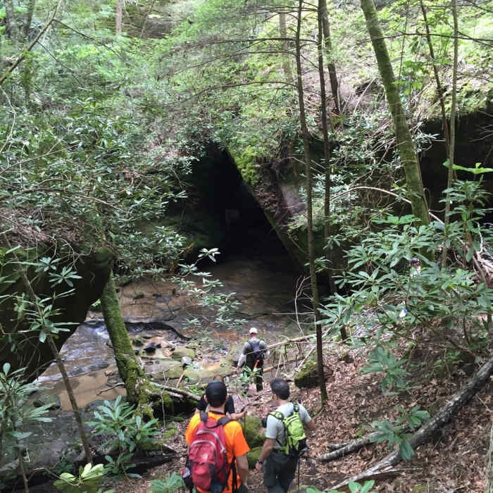 Hikers head down into the North Fork Honey Creek along the Honey Creek Loop. Near Honey Creek Loop