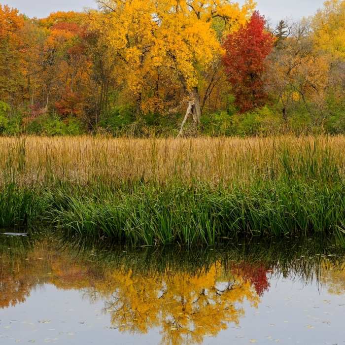 Near Bass Ponds Trail