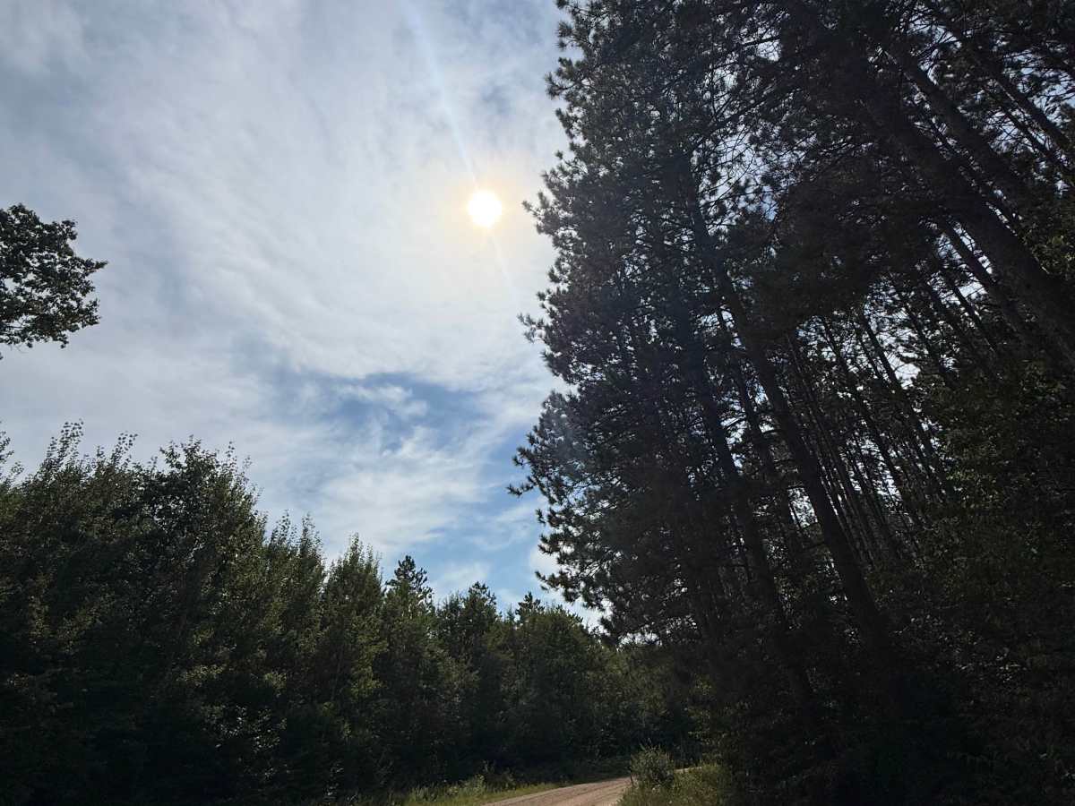 Stoddard Lake Road - FS 9987 photo 4
